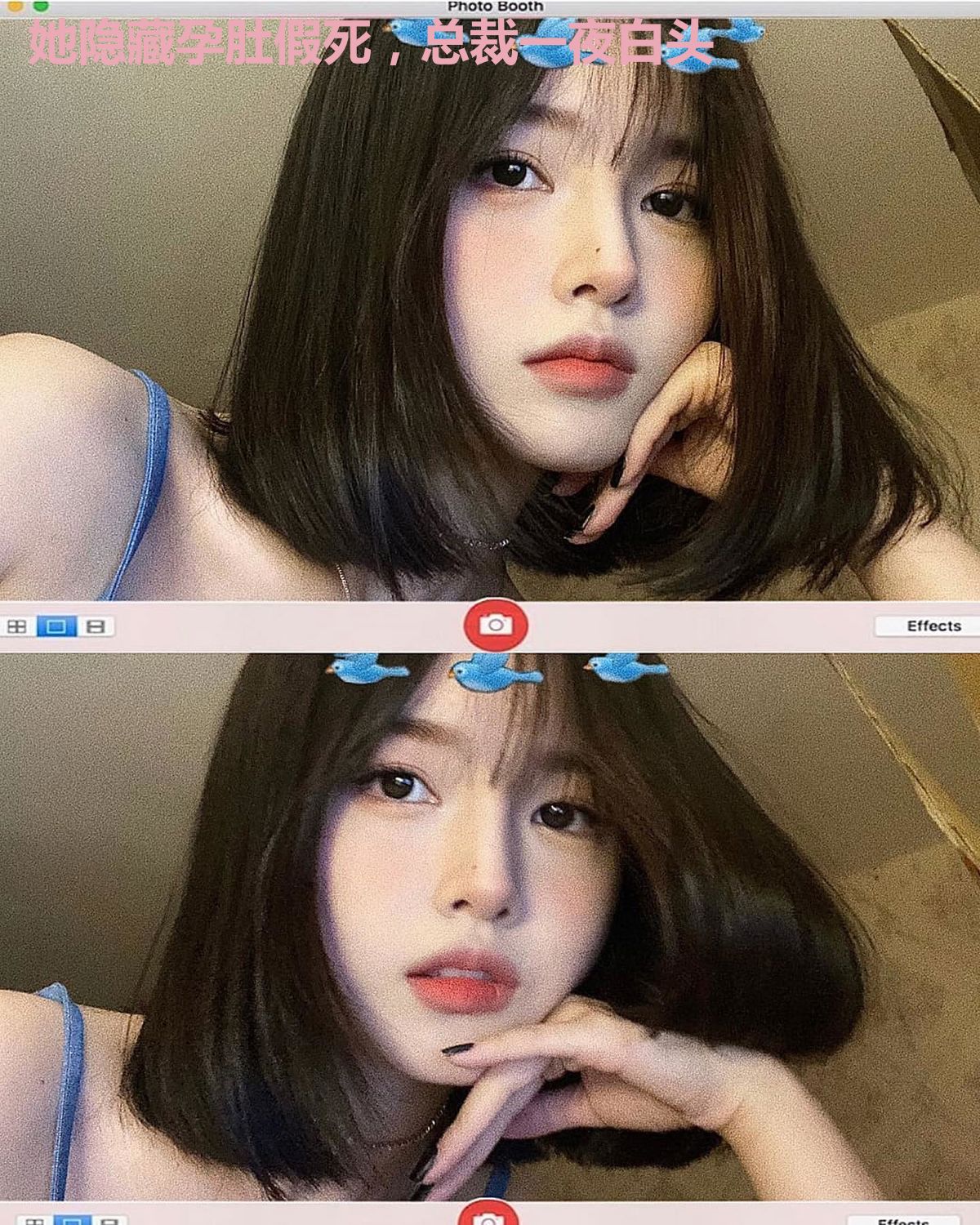 她隐藏孕肚假死，总裁一夜白头