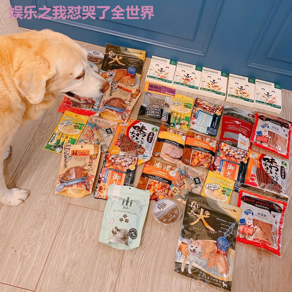娱乐之我怼哭了全世界