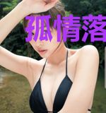 孤情落满天战龙轩