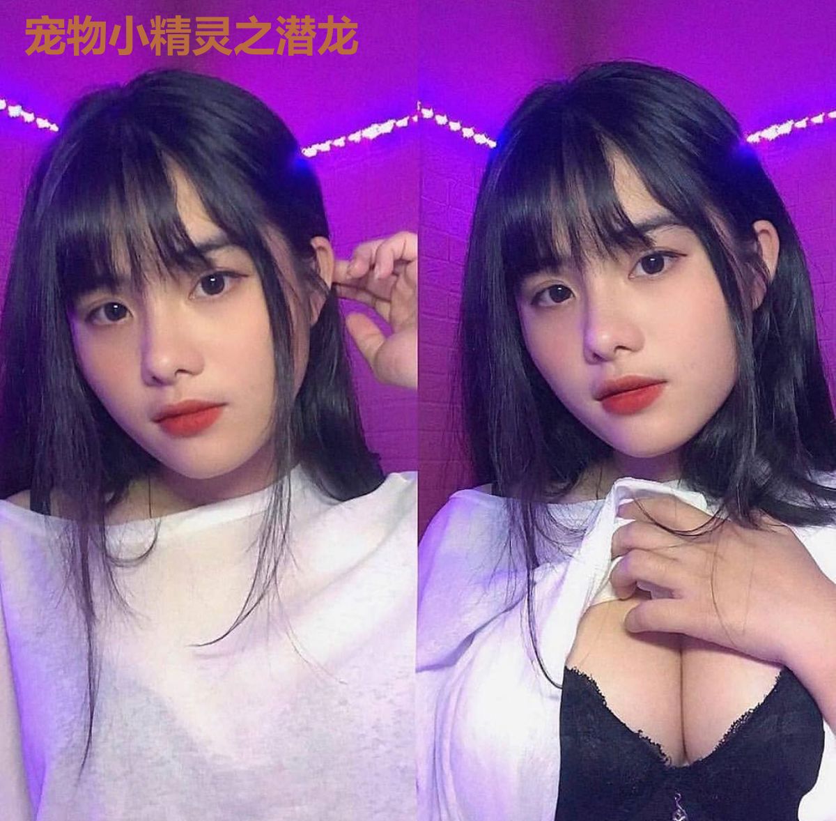宠物小精灵之潜龙