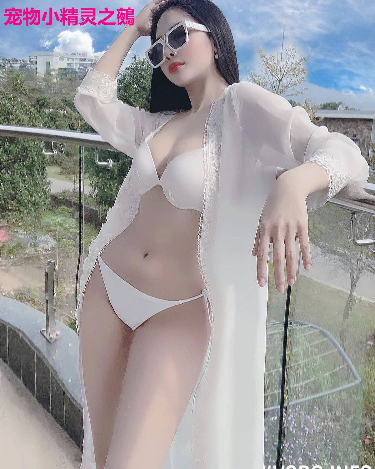 宠物小精灵之鵺