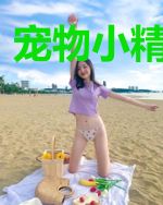 宠物小精灵之鵺