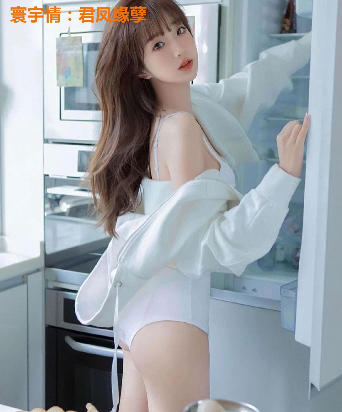 寰宇情：君凤缘孽