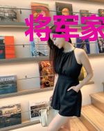 将军家有个小媳妇