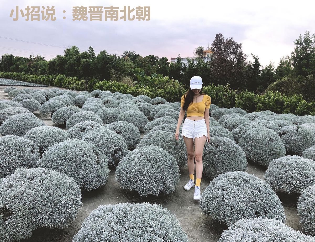 小招说：魏晋南北朝