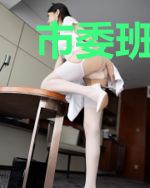 市委班子.2(出版)