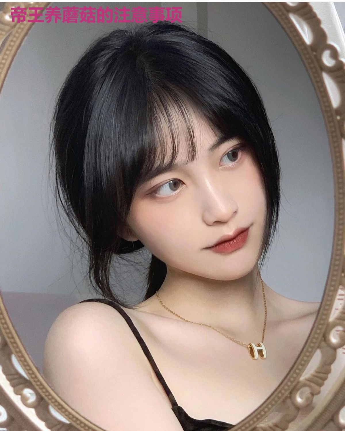 帝王养蘑菇的注意事项