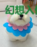 幻想入侵系统