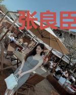 张良臣巧儿