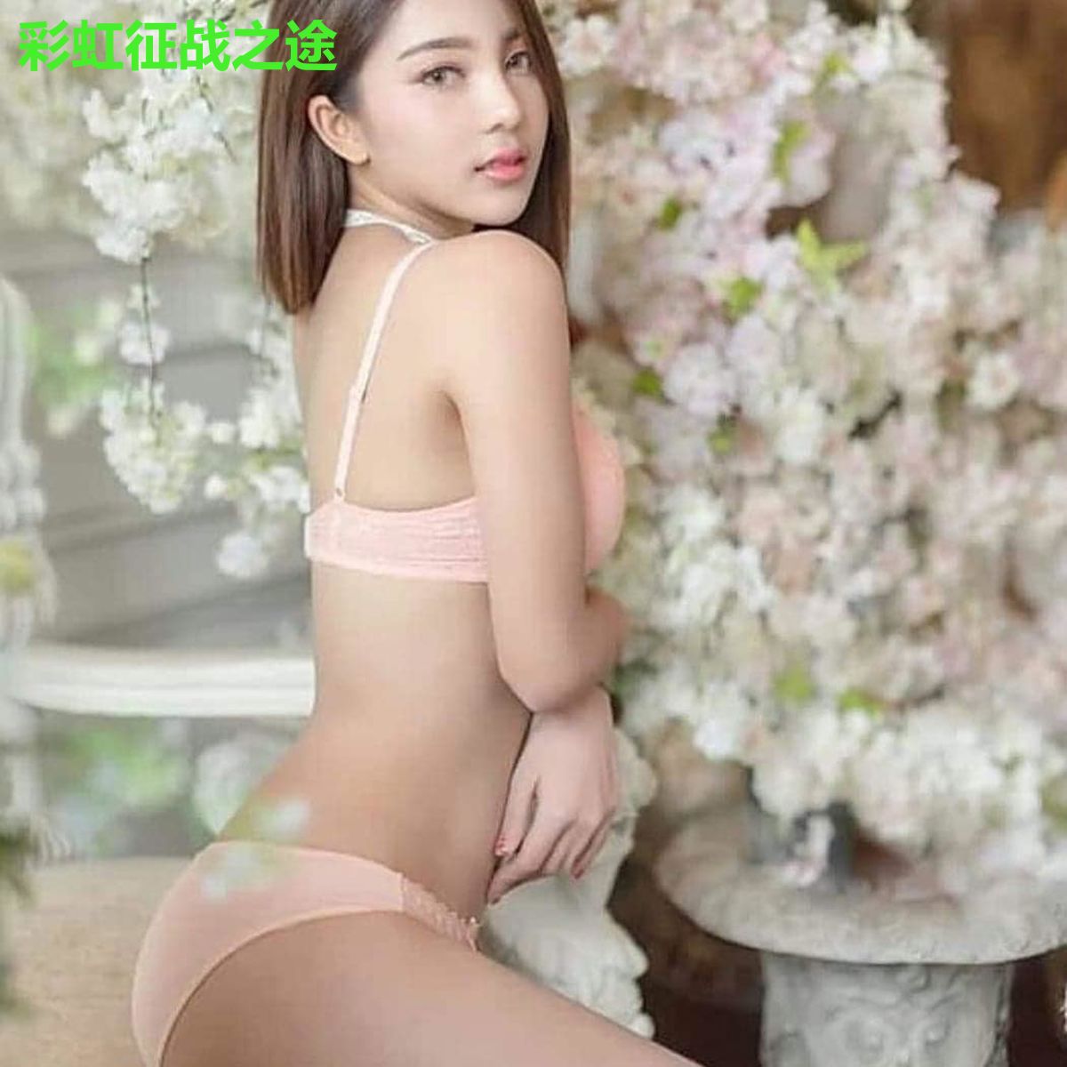 彩虹征战之途