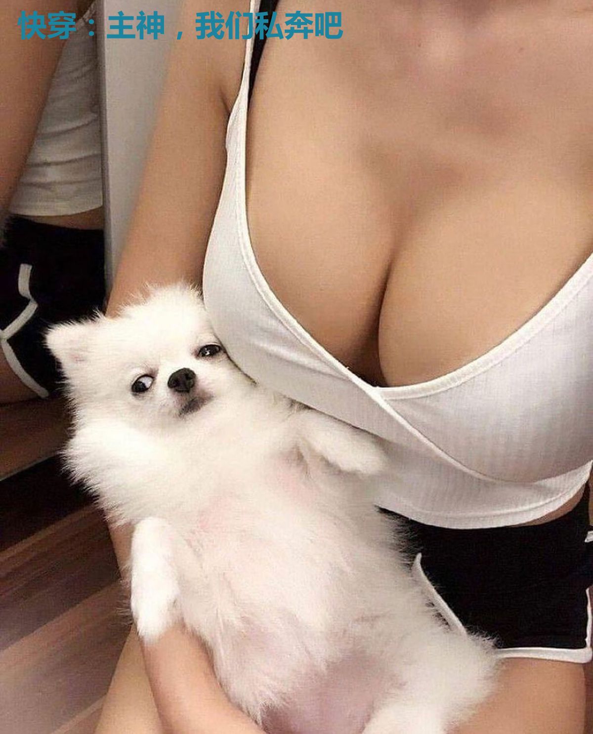 快穿：主神，我们私奔吧