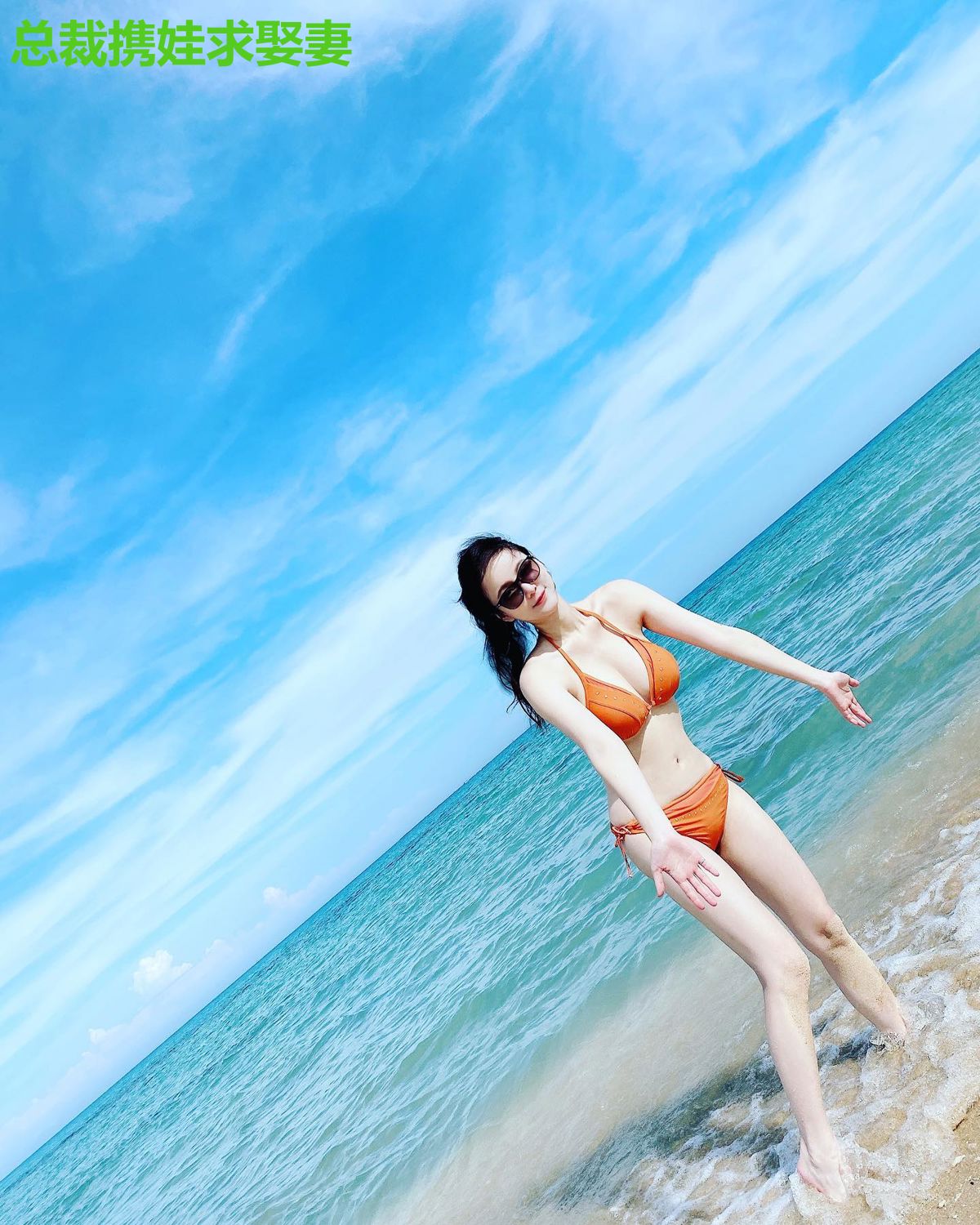 总裁携娃求娶妻