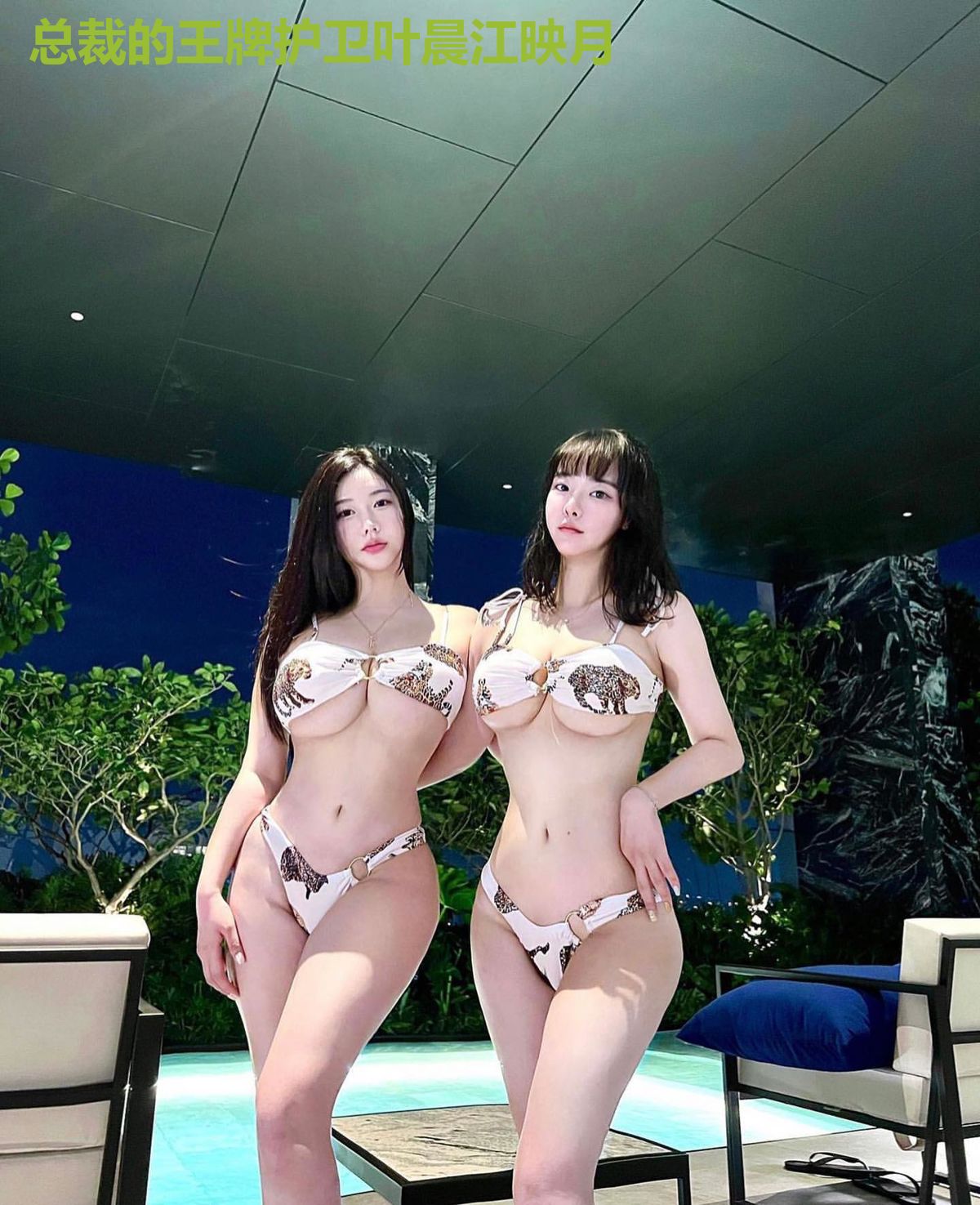 总裁的王牌护卫叶晨江映月