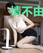 情不由心蓝小柒赫连曜