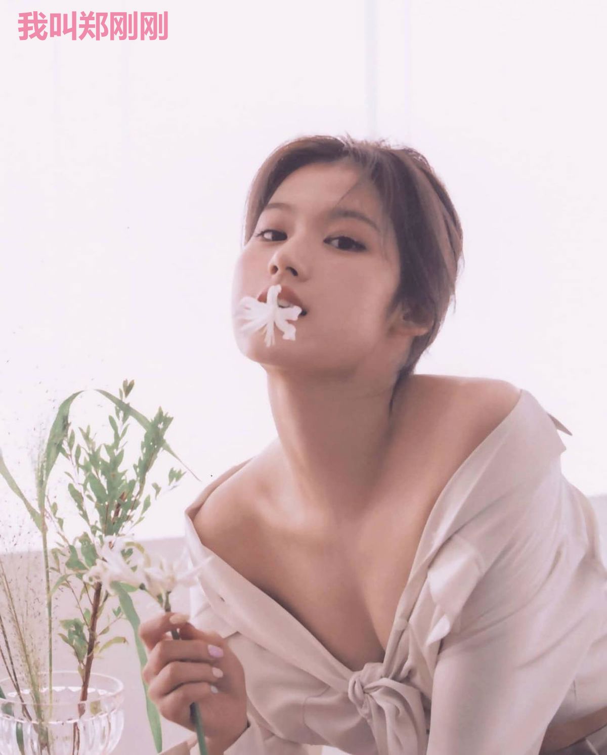 我叫郑刚刚
