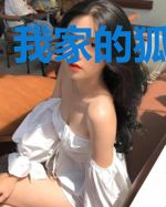 我家的狐妖少女