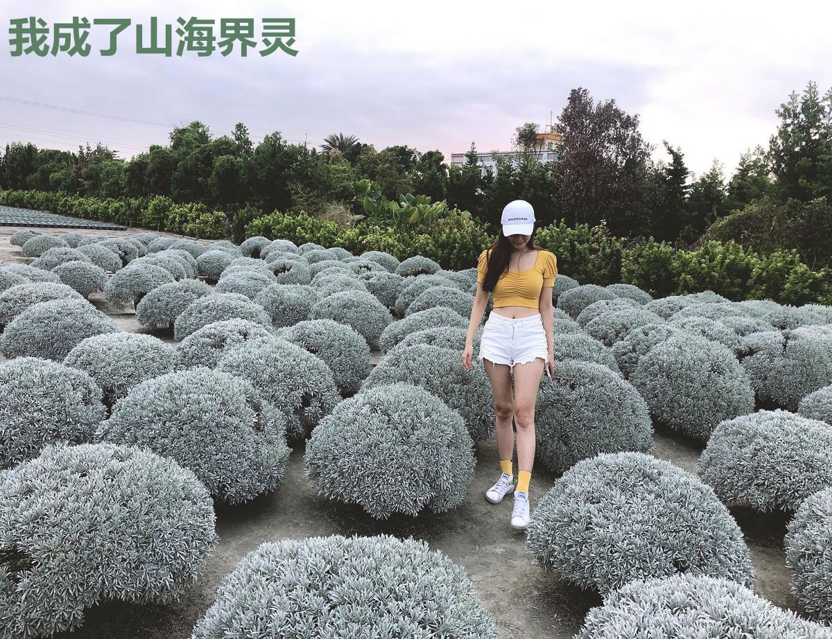 我成了山海界灵