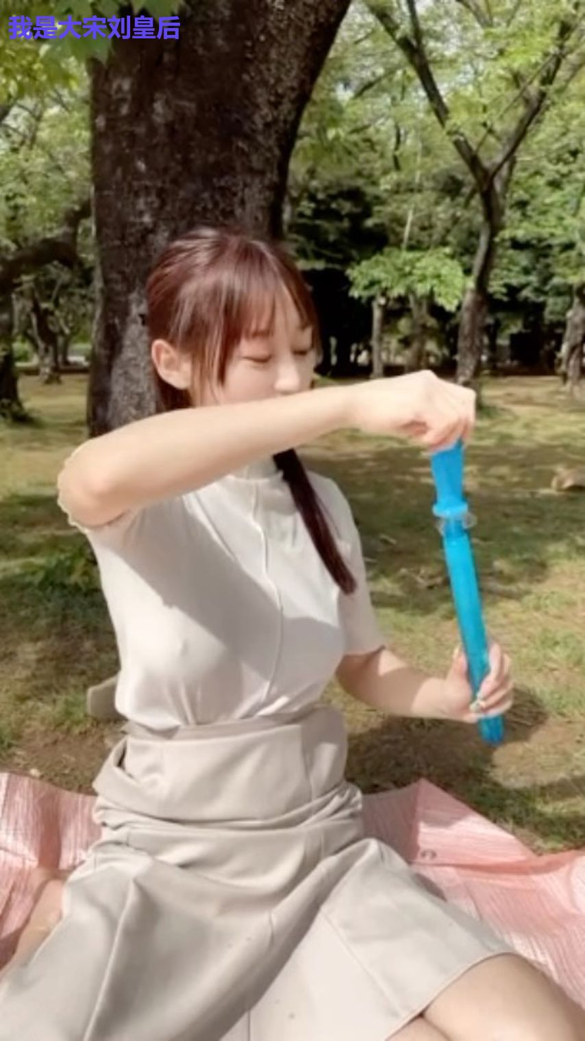 我是大宋刘皇后
