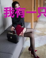 我有一只波斯猫