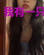 我有一只茶壶精