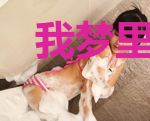 我梦里的诡居然是真的