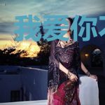我爱你不后悔