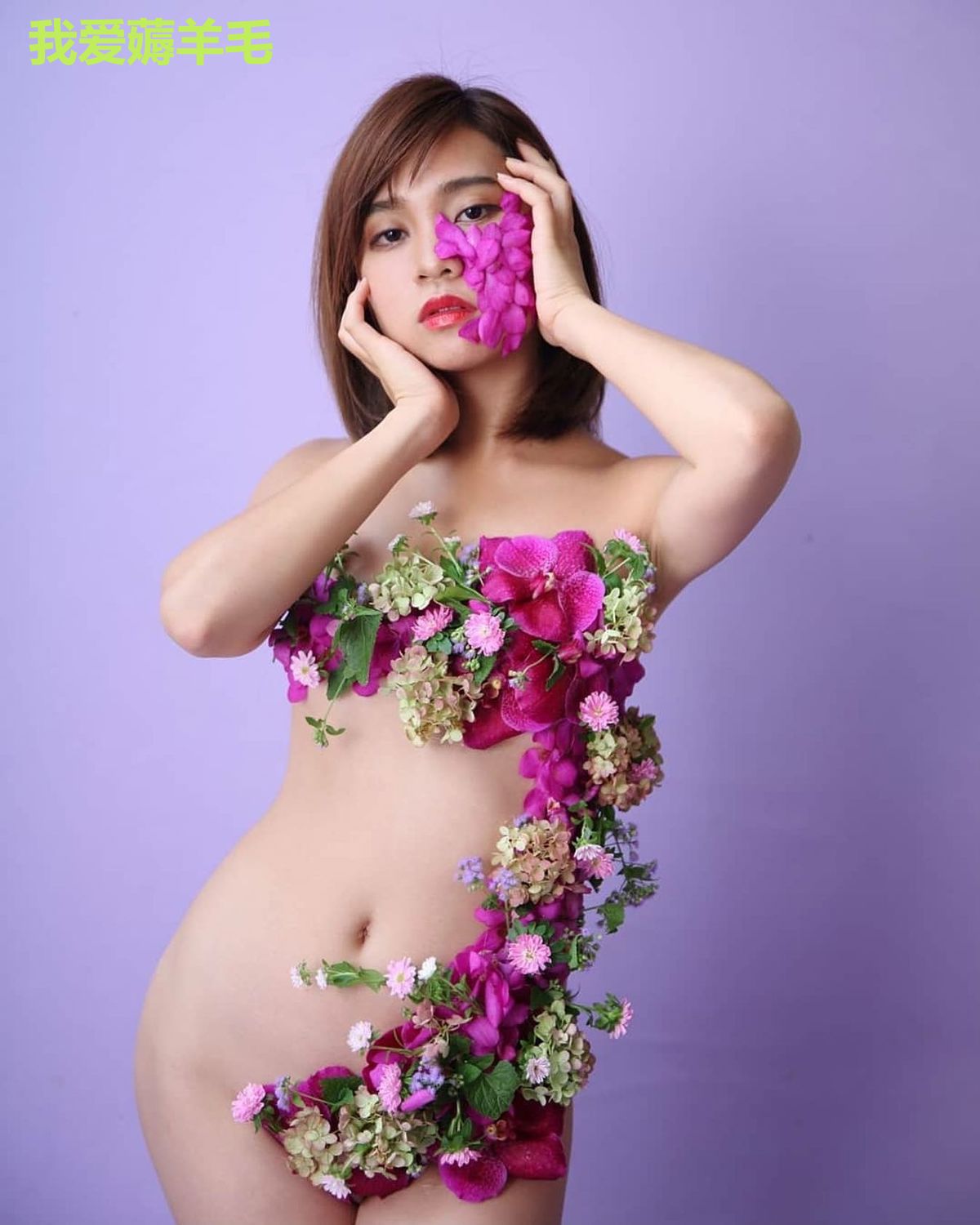 我爱薅羊毛