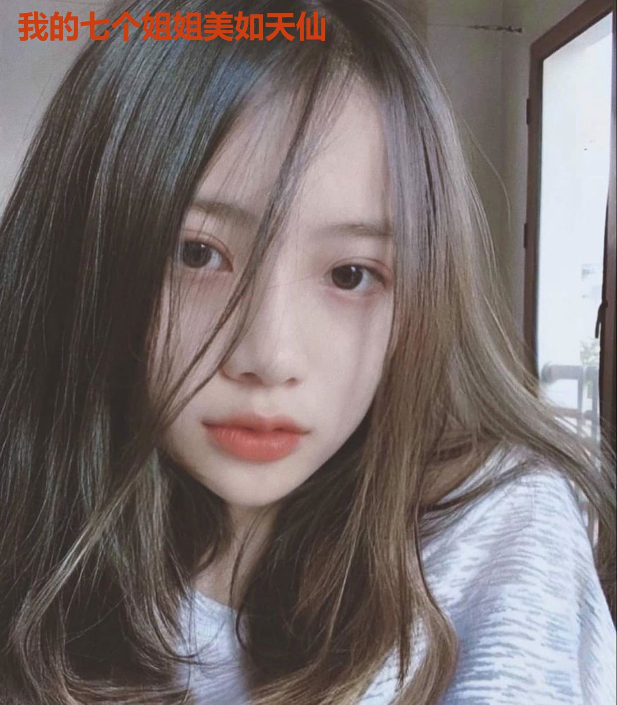 我的七个姐姐美如天仙