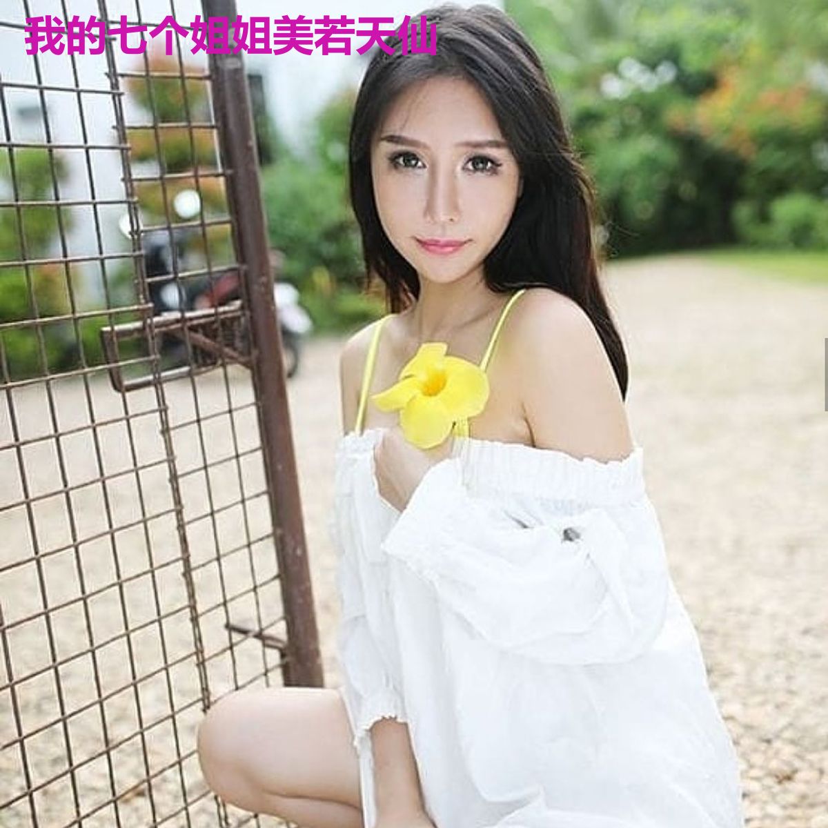 我的七个姐姐美若天仙