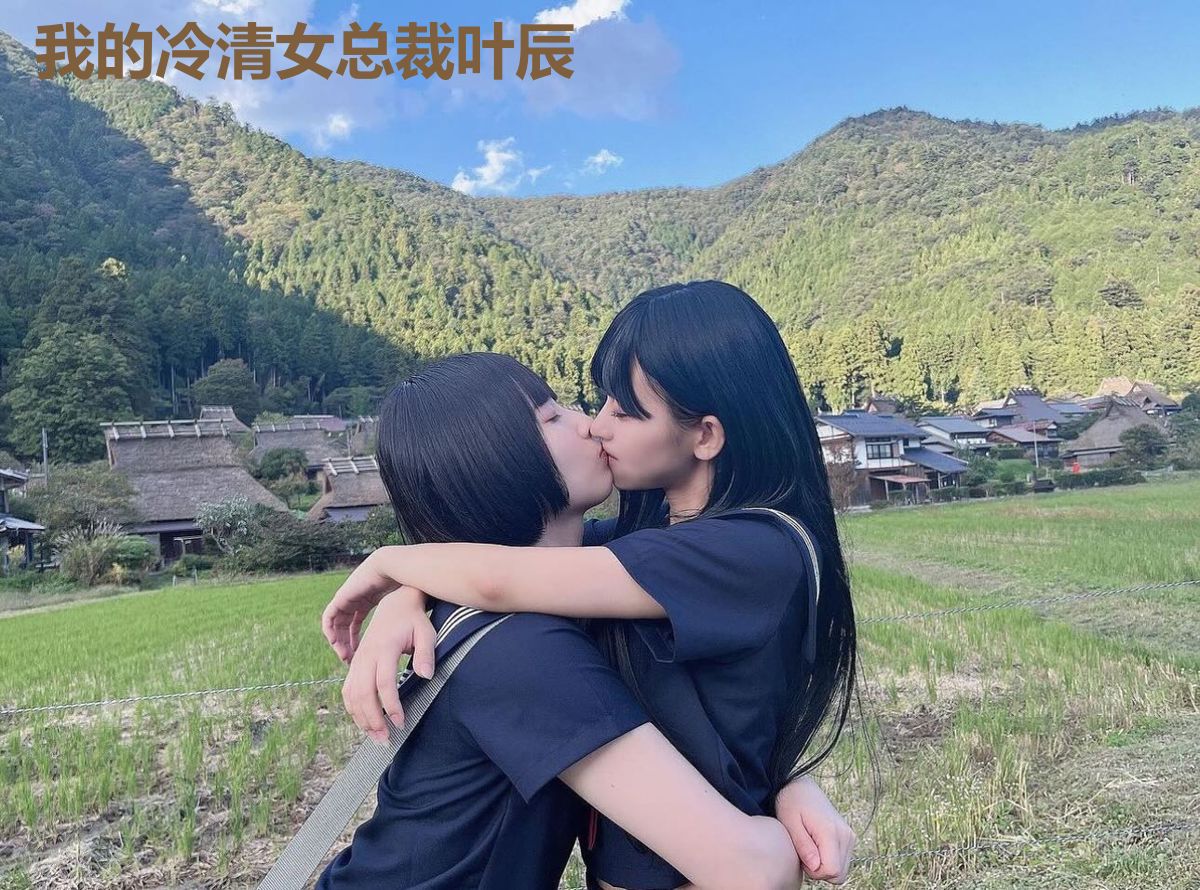 我的冷清女总裁叶辰