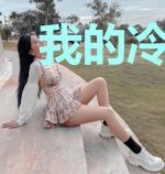 我的冷清女总裁叶辰