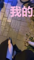 我的凤凰花