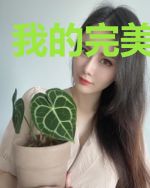 我的完美守护者