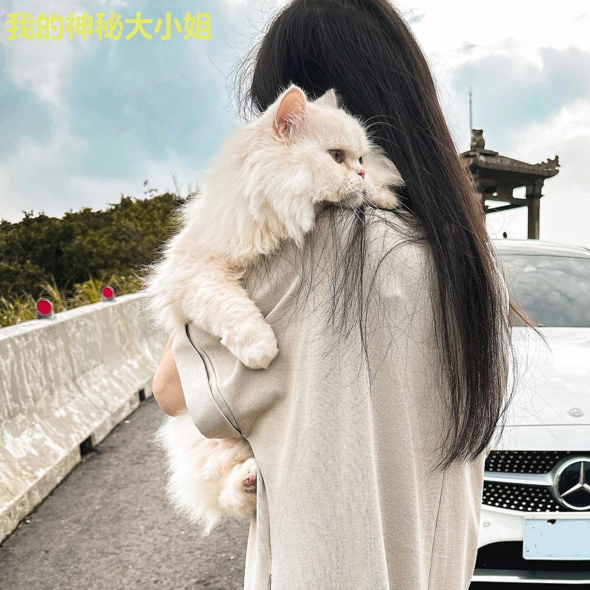 我的神秘大小姐