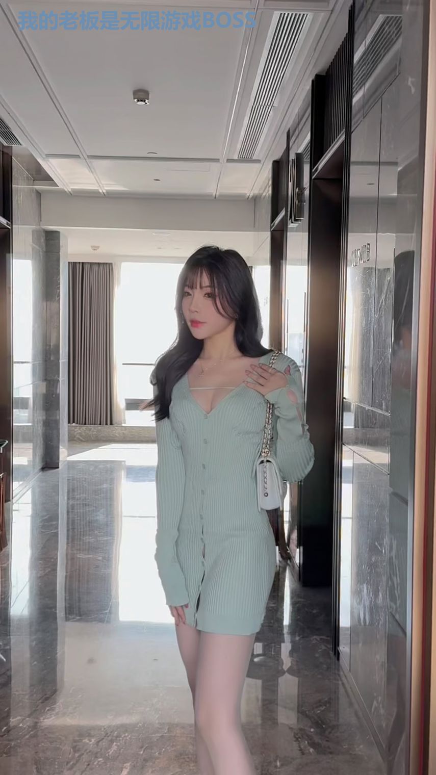 我的老板是无限游戏BOSS