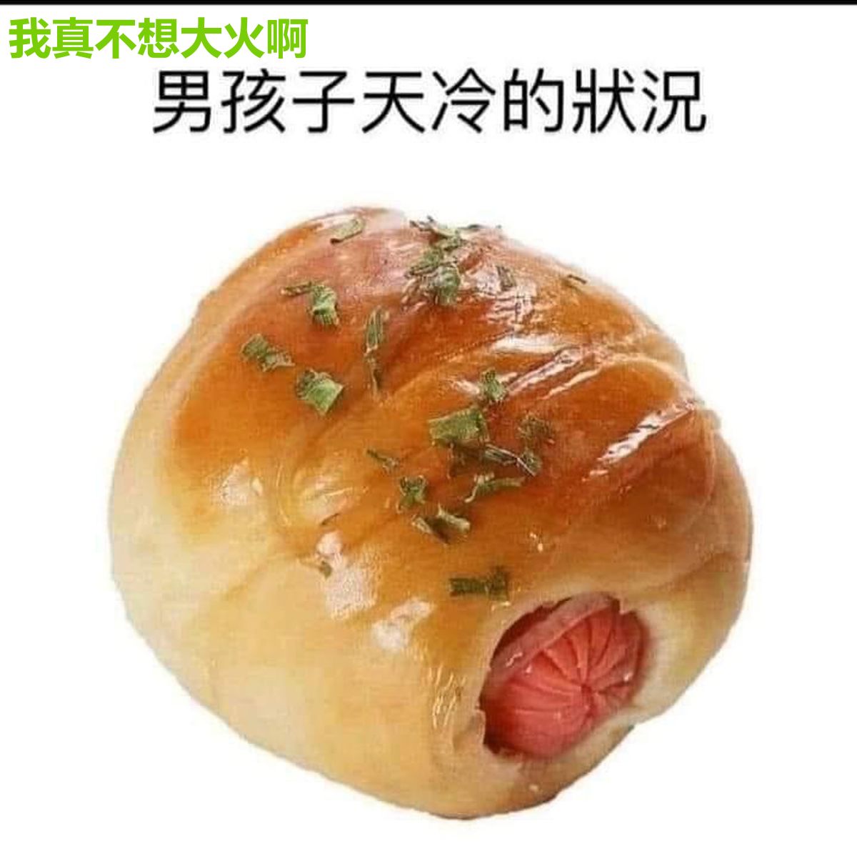 我真不想大火啊
