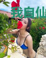 我自仙界来