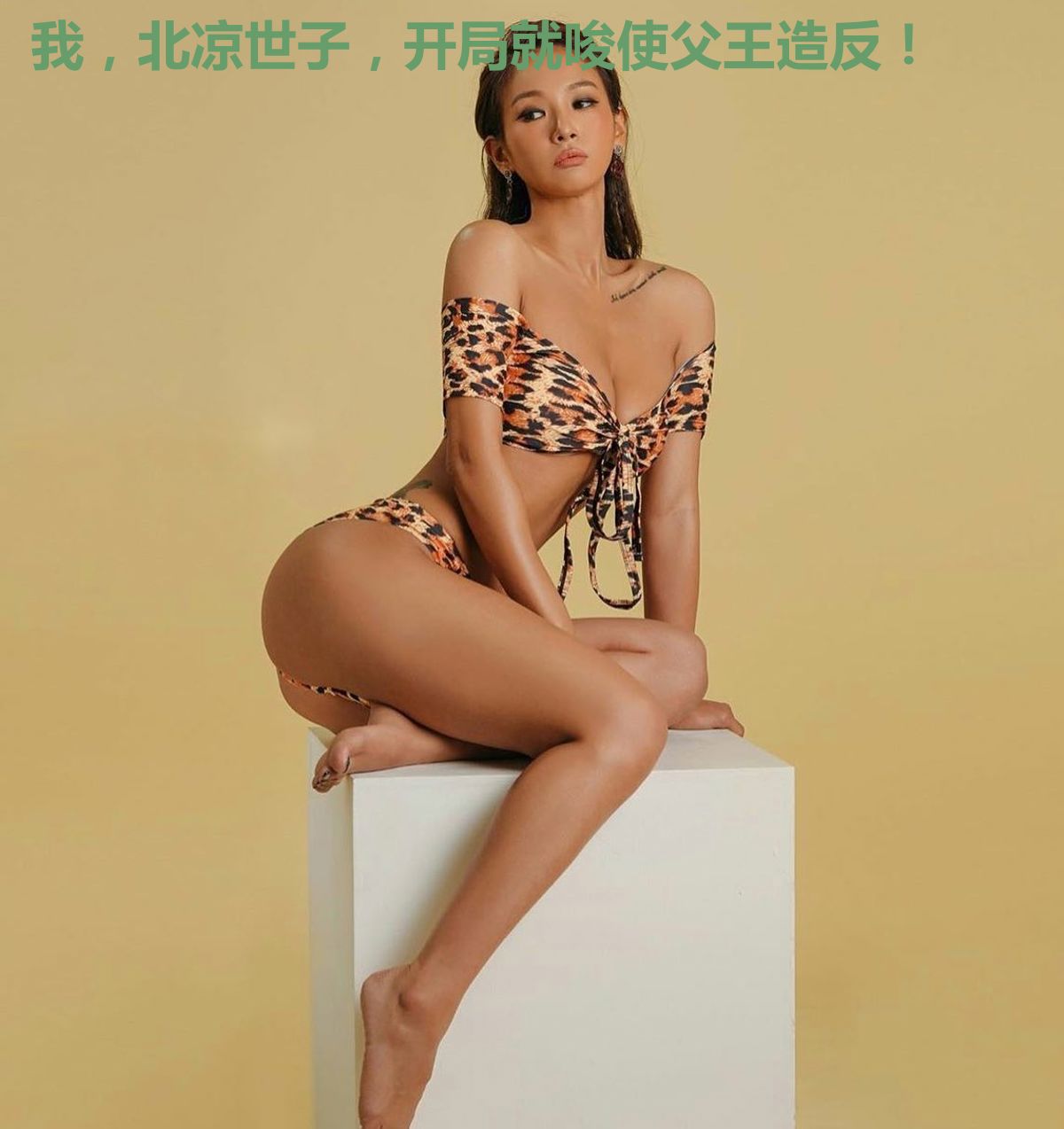 我，北凉世子，开局就唆使父王造反！