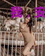 我，安稳，降临诸天
