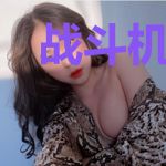 战斗机科技知识（下）