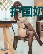 护国奶爸林布衣楚心月
