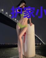 护家小娘子