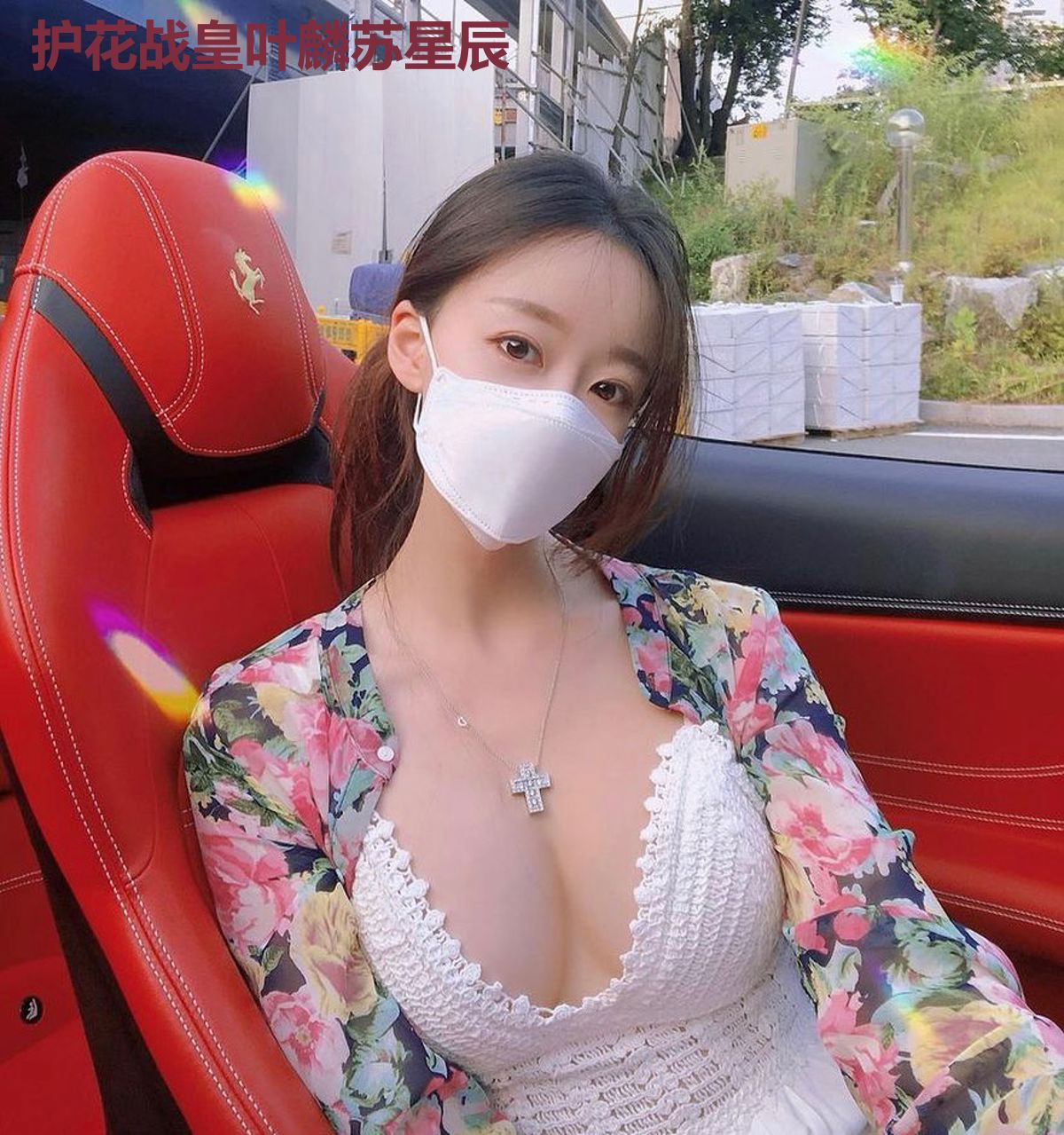 护花战皇叶麟苏星辰