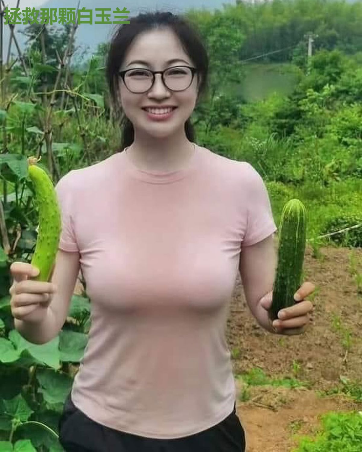 拯救那颗白玉兰