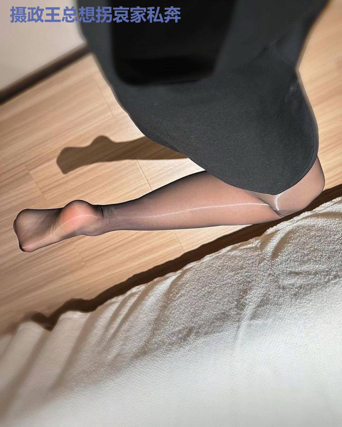 摄政王总想拐哀家私奔