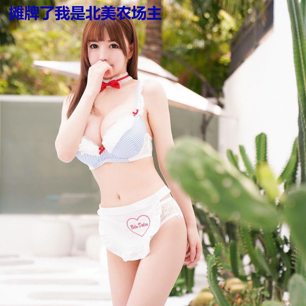 摊牌了我是北美农场主