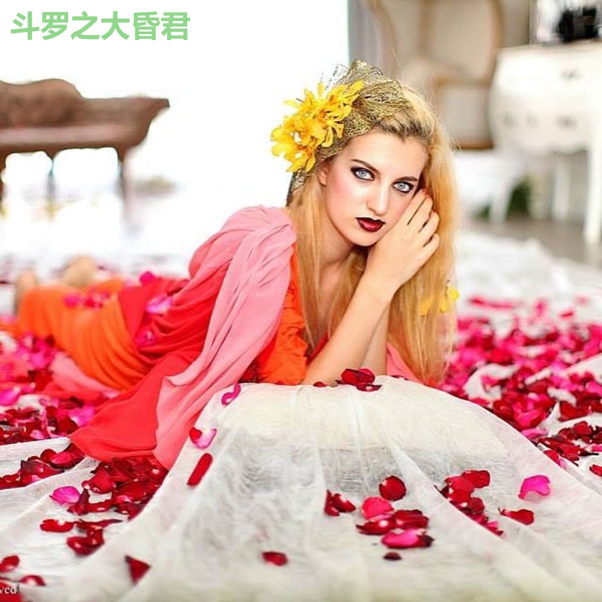 斗罗之大昏君