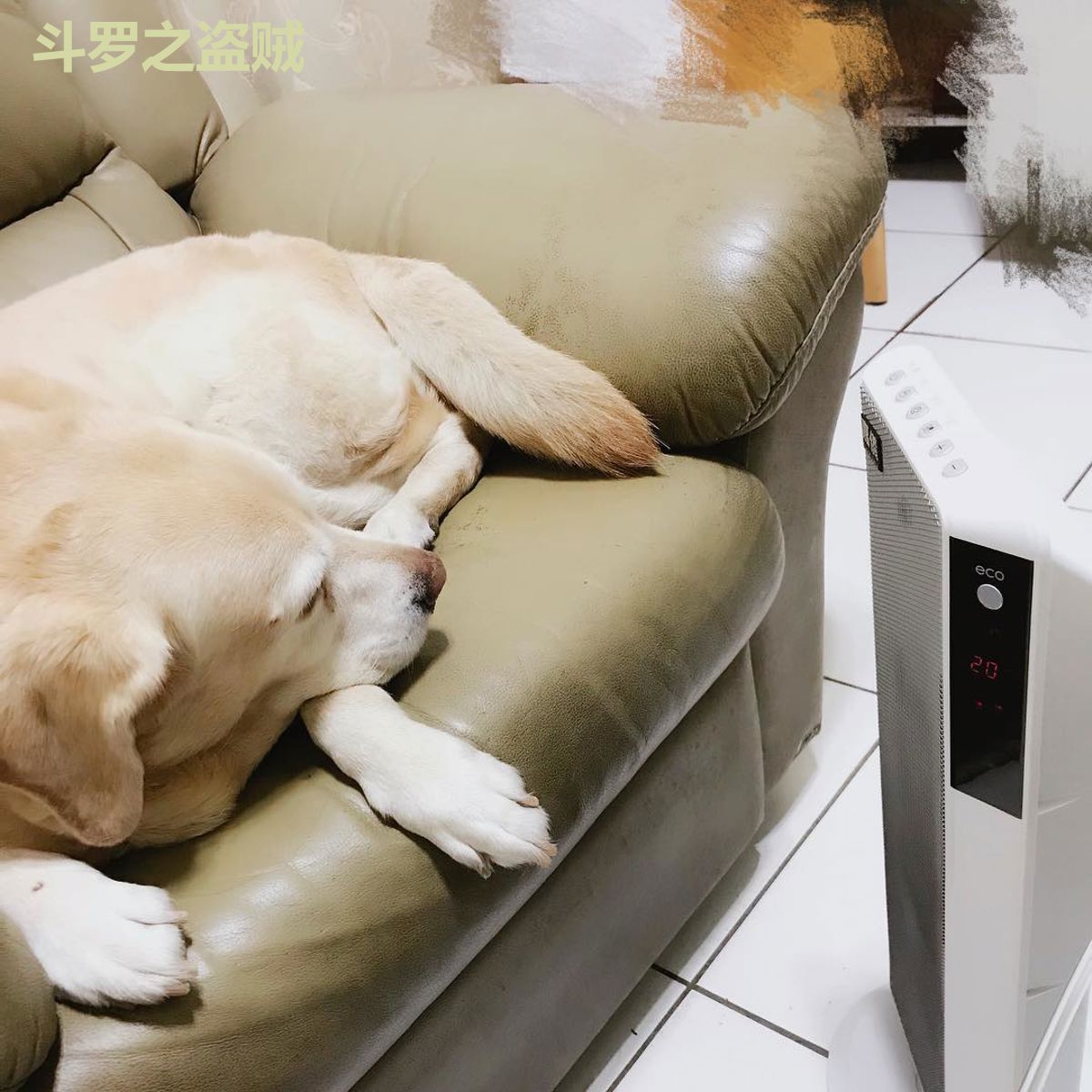 斗罗之盗贼