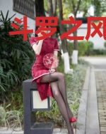 斗罗之风起星斗