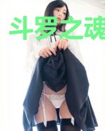 斗罗之魂导之光